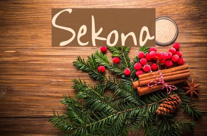 Sekona Font examples