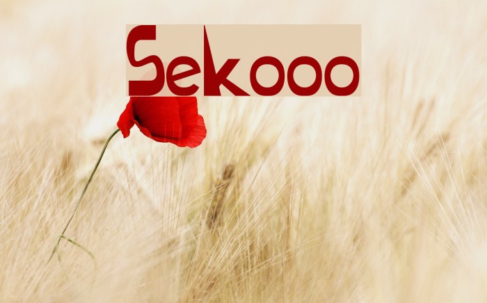 Sekooo Font examples
