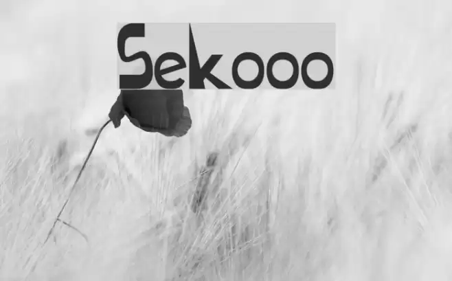 Sekooo Polices examples