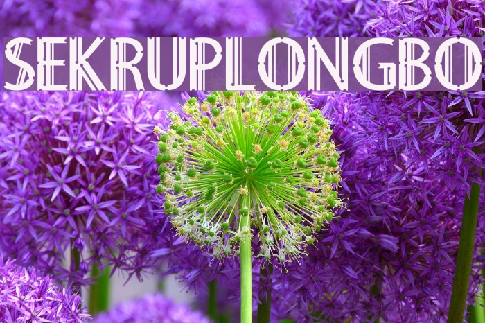 Sekruplongbo Example 3