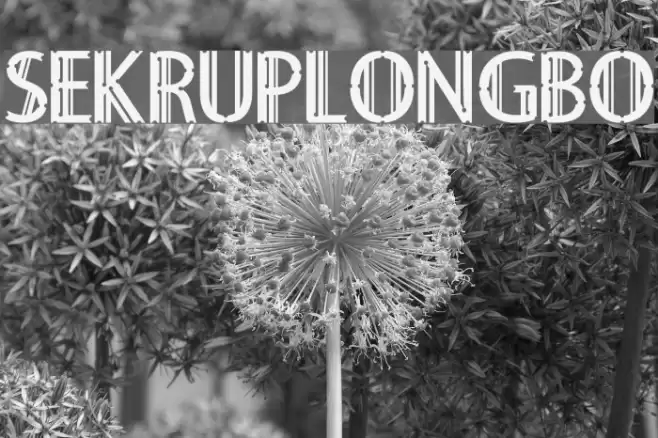 Sekruplongbo Font examples