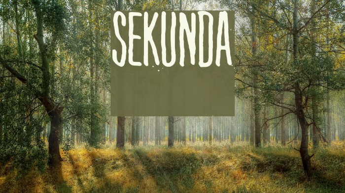 Sekunda Font examples