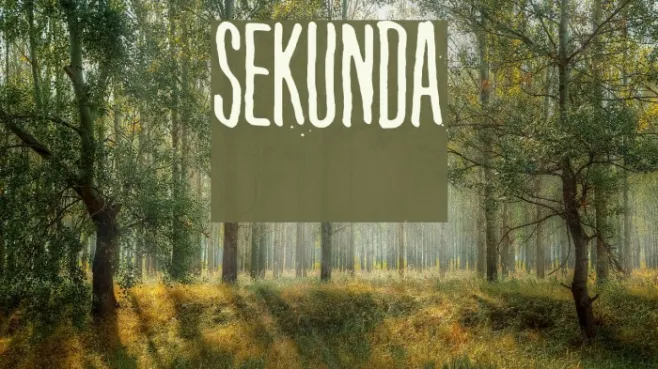 Sekunda Example 1