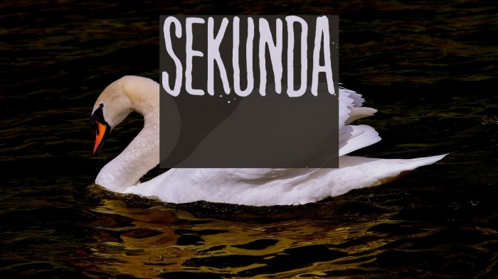 Sekunda Font examples