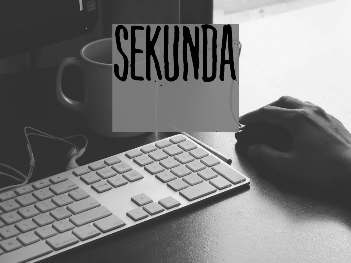 Sekunda Font examples