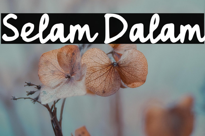 Selam Dalam Example 2