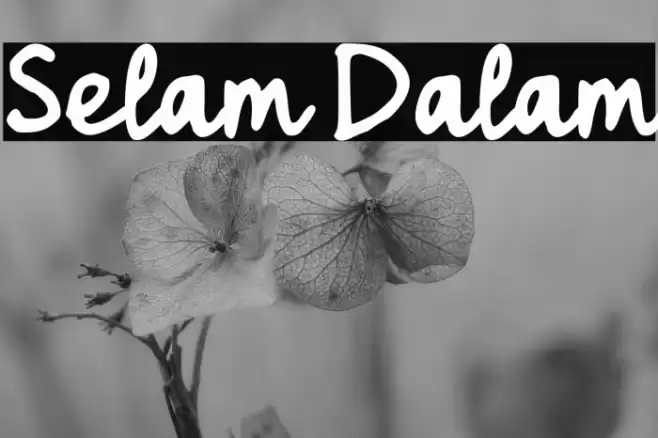 Selam Dalam Polices examples