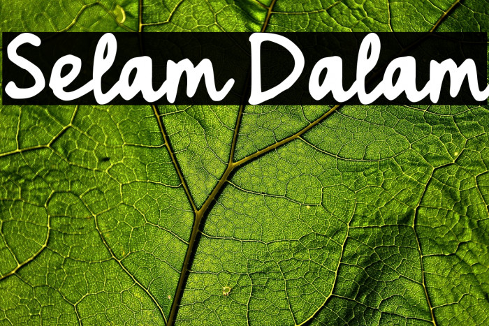 Selam Dalam Example 3