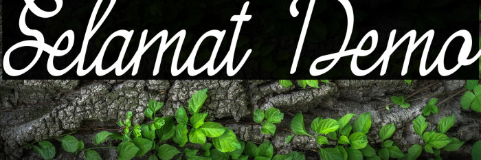 Selamat Demo Example 2