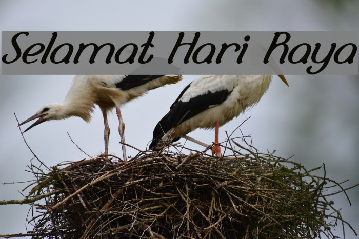 Selamat Hari Raya Font examples
