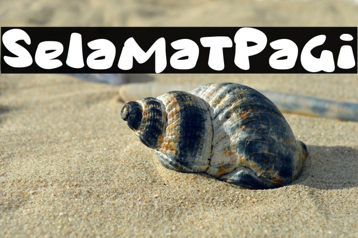 Selamat Pagi Example 2