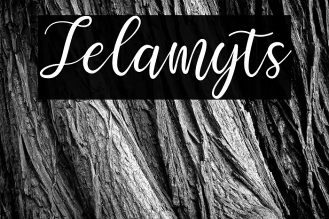 Selamyts Font examples