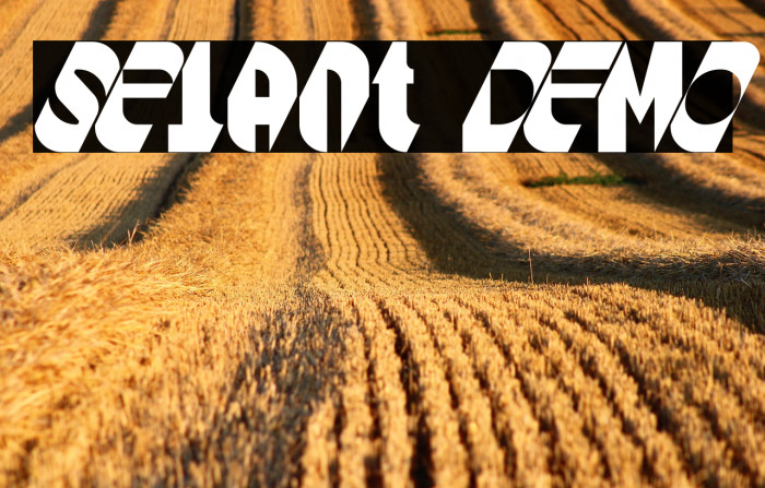 Selant DEMO Example 1