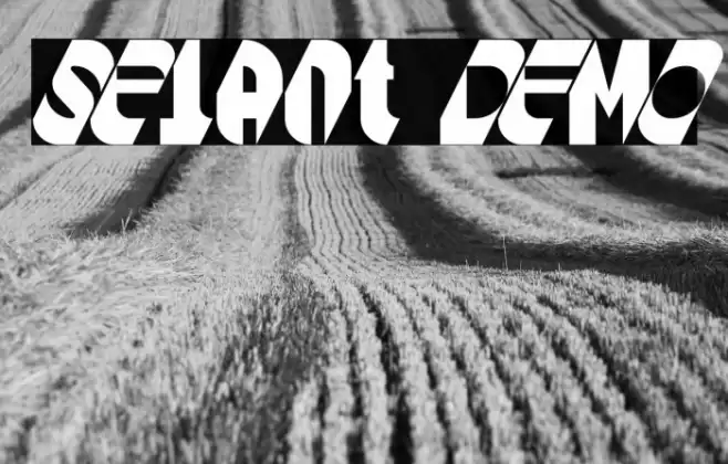 Selant DEMO Font examples