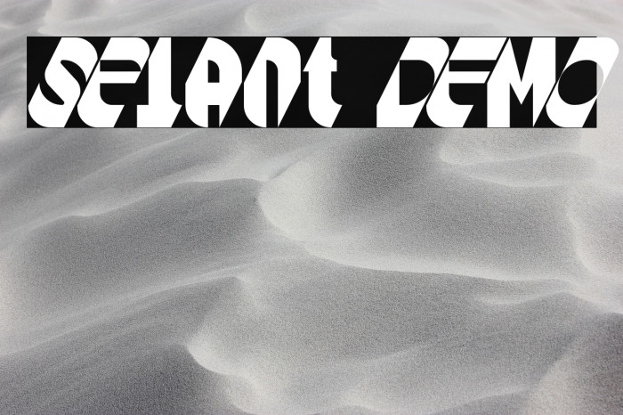 Selant DEMO Example 2