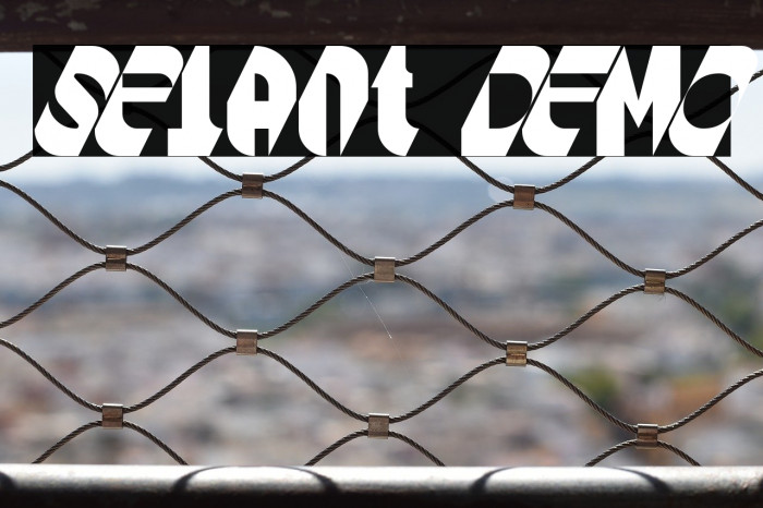 Selant DEMO Example 3