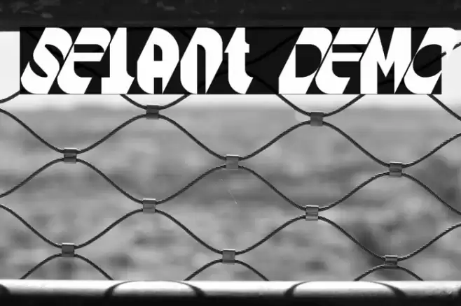 Selant DEMO Font examples
