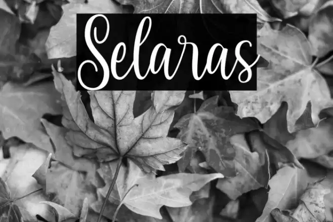 Selaras Font examples
