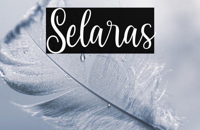 Selaras Example 3