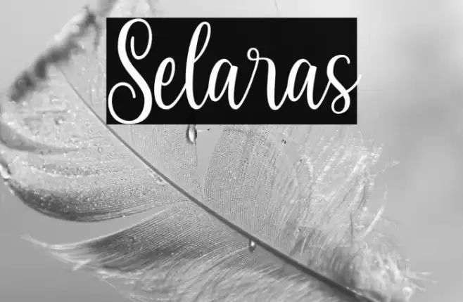 Selaras Font examples