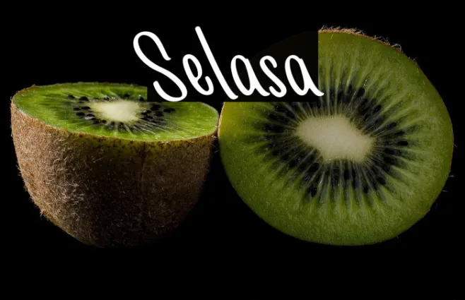 Selasa Example 2