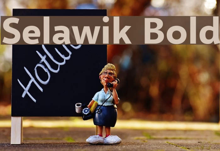 Selawik Bold Font examples