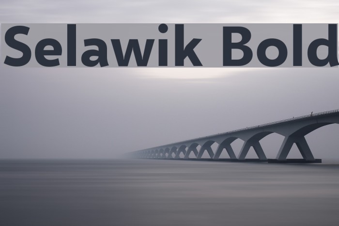 Selawik Bold Font examples