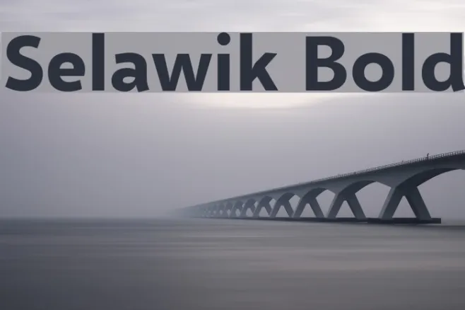 Selawik Bold Example 3