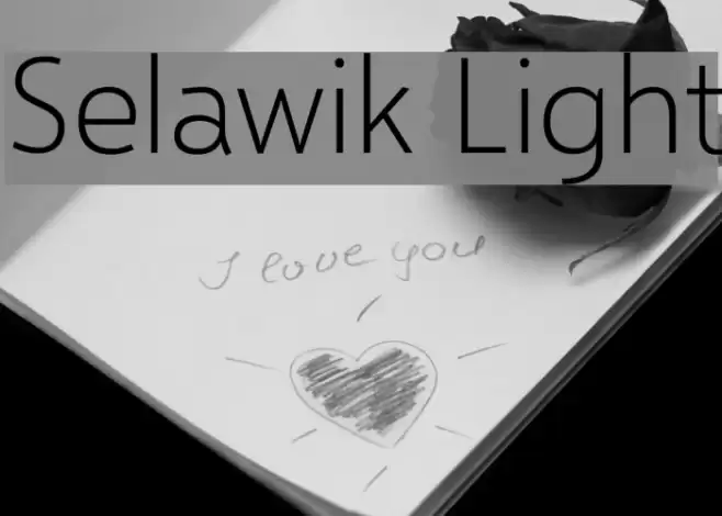 Selawik Light Font examples