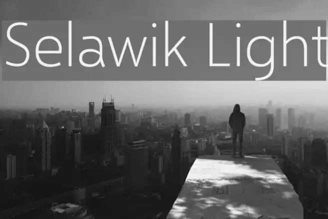 Selawik Light Font examples