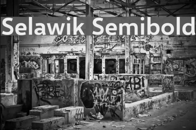 Selawik Semibold Font examples