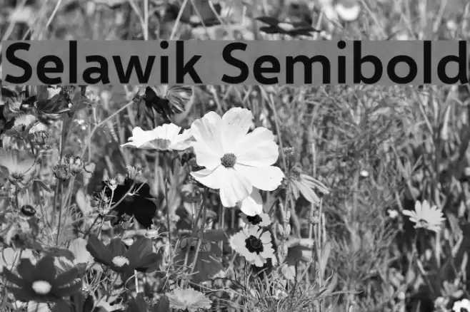 Selawik Semibold Font examples