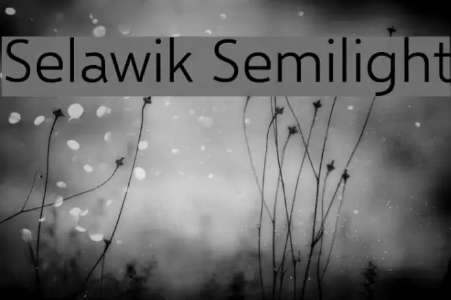 Selawik Semilight Font examples