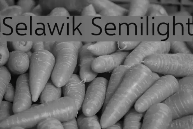 Selawik Semilight Font examples