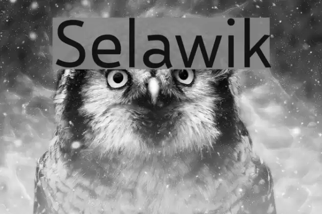 Selawik Font examples