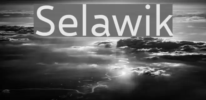 Selawik Font examples