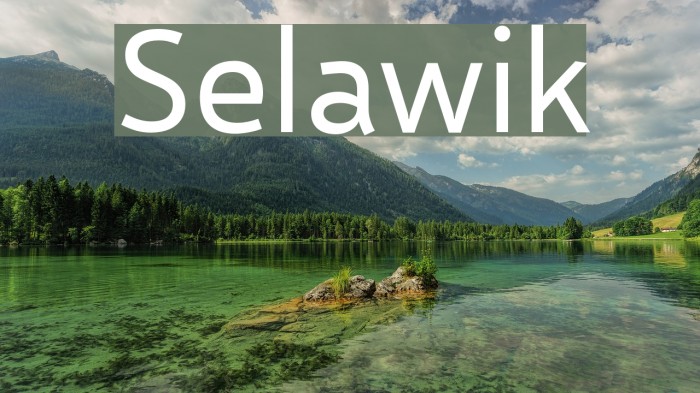 Selawik Font examples