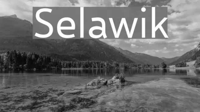 Selawik Font examples