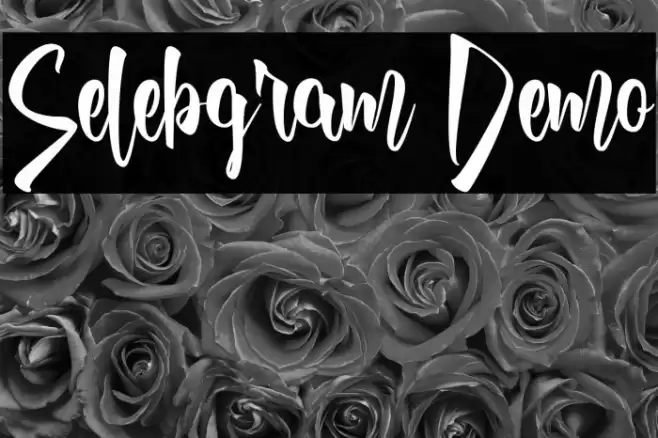Selebgram Demo Font examples