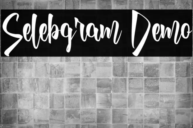 Selebgram Demo Font examples