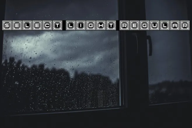 Select Light Regular Example 3