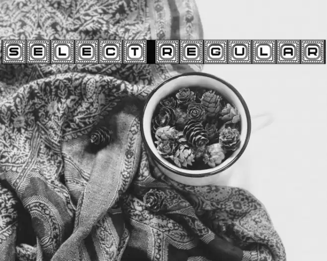 Select Regular Font examples