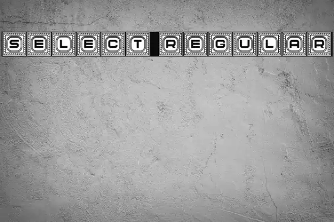 Select Regular Font examples