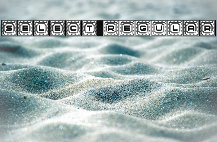 Select Regular Example 3