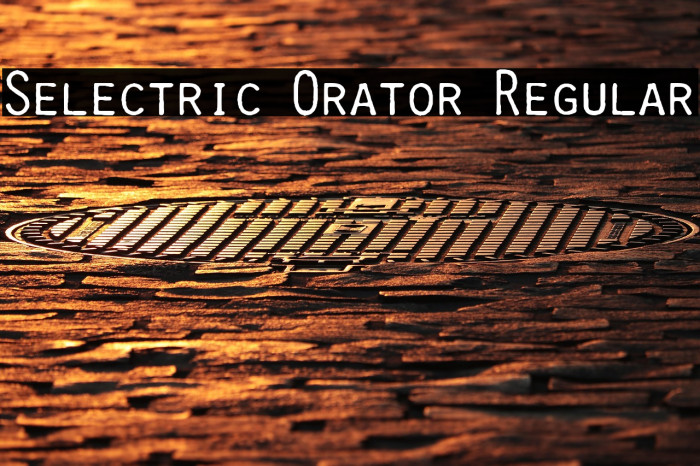 Selectric Orator Regular Example 2