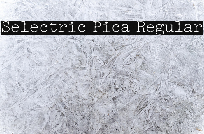 Selectric Pica Regular Example 1