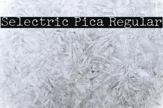 Selectric Pica Regular Example 1
