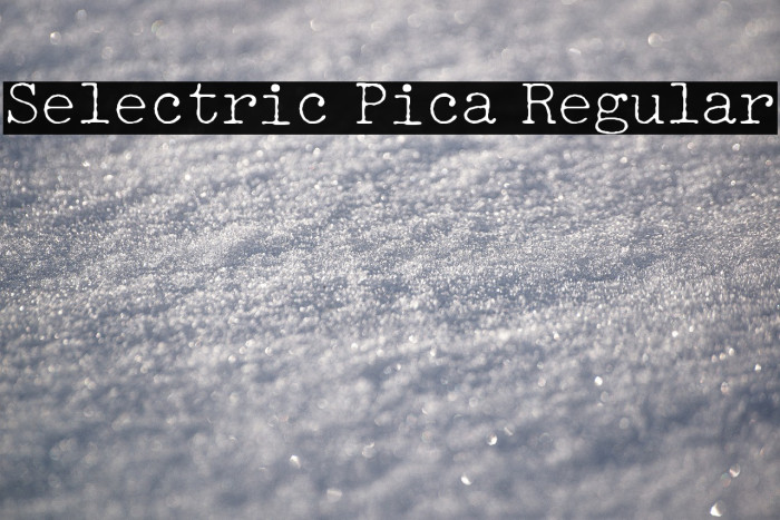 Selectric Pica Regular Example 2