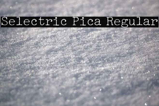 Selectric Pica Regular Example 2