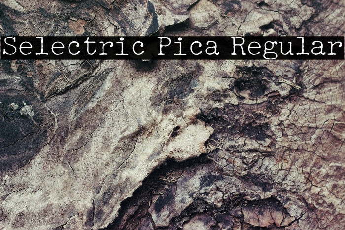 Selectric Pica Regular Example 3